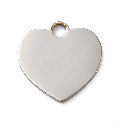 Non-Tarnish 304 Stainless Steel Pendants STAS-K270-27B-P-1