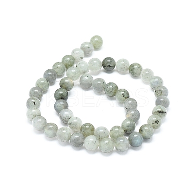 Natural Labradorite Beads Strands G-G828-01-8mm-1