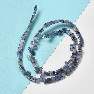 Natural Blue Spot Jasper Beads Strands G-Z045-A08-01-1