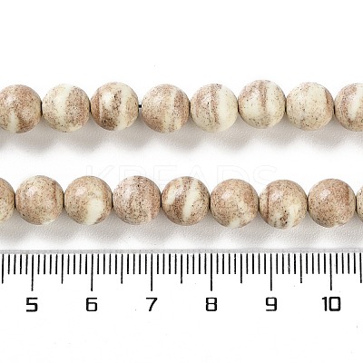 Natural Rainbow Alashan Agate Beads Strands G-NH0022-A10-02-1
