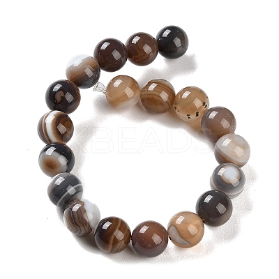 Natural Striped Agate/Banded Agate Beads Strands G-Z060-A01-C14-1