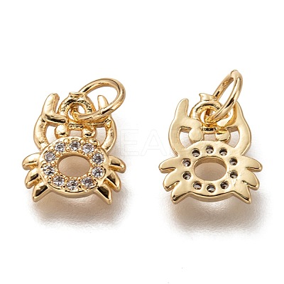 Brass Micro Pave Clear Cubic Zirconia Charms ZIRC-B002-48G-1