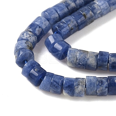 Natural Sodalite Beads Strands G-P468-19-1