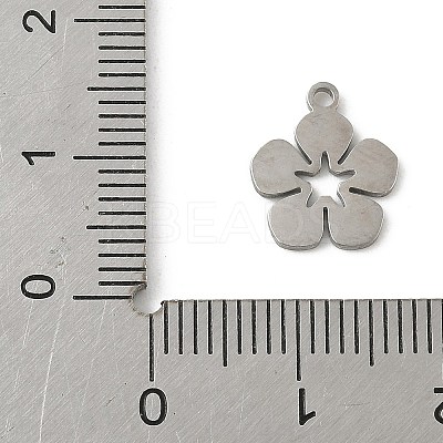 304 Stainless Steel Charms LS-STAS-G355-15P-1