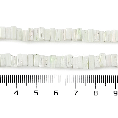 Handmade Lampwork Beads Strands LAMP-Q037-02B-19-1