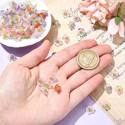 100Pcs Luminous & Two Tone Transparent Resin Charms PALLOY-CJ00112-1