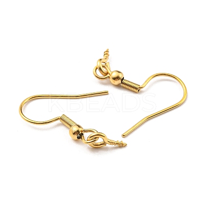 304 Stainless Steel Earring Hooks STAS-G310-24G-1