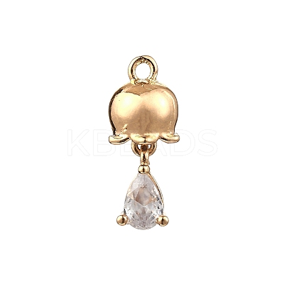 Brass Micro Pave Cubic Zirconia Pendants LS-KK-D427-01G-1