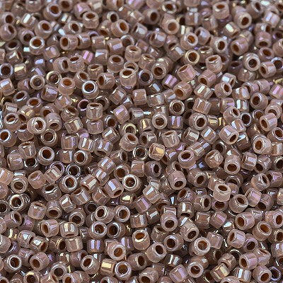 MIYUKI Delica Beads X-SEED-J020-DB1749-1