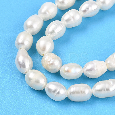 Natural Cultured Freshwater Pearl Beads Strands PEAR-N012-04V-01-1