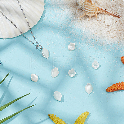 8Pcs 2 Styles Natural Shell Petaline Charms SHEL-GO0001-11-1