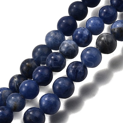Round Natural Sodalite Beads Strands G-F222-39-10mm-1