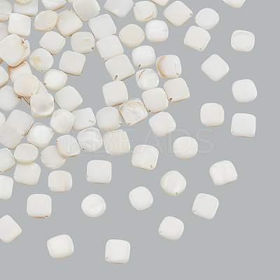 3 Strands Natural Freshwater Shell Beads Strands SHEL-NB0001-46-1