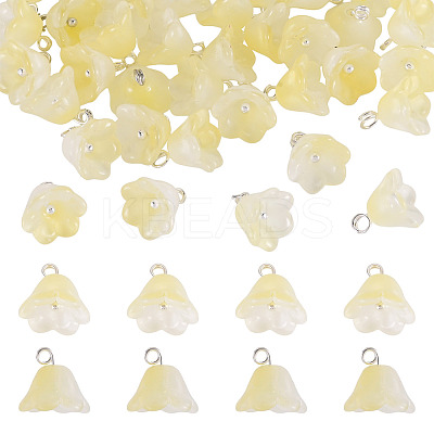 38Pcs Glass Charms GLAA-TADJ0001-19B-1