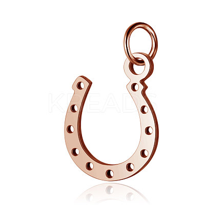 PVD Vacuum Plating 304 Stainless Steel Charms STAS-S105-T519R-1