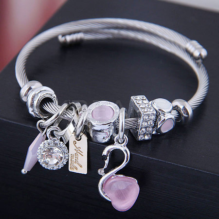 Adjustable Stainless Steel European Bangles FS-WG2FA3F-04-1