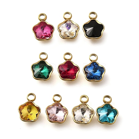 304 Stainless Steel Pendants STAS-Q346-02G-1