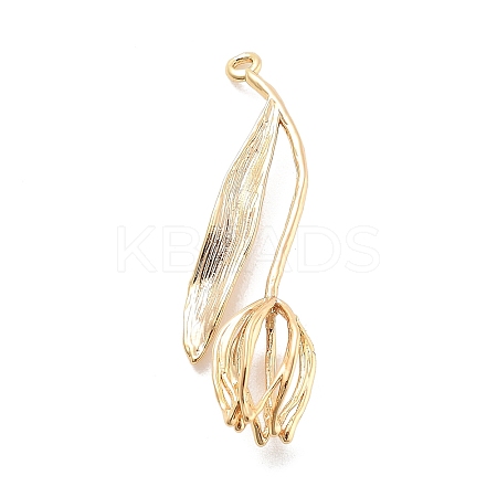 Brass Pendants KK-A238-06G-1