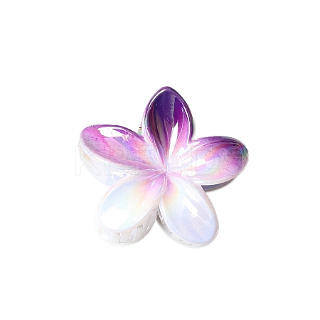 Resin Claw Hair Clips PW-WG93676-06-1