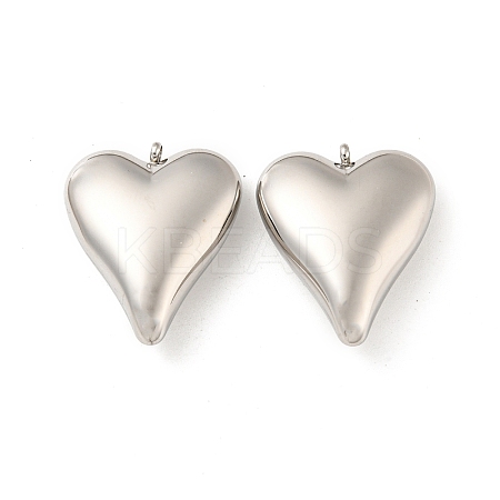 Non-Tarnish 304 Stainless Steel Pendants STAS-L022-200P-1
