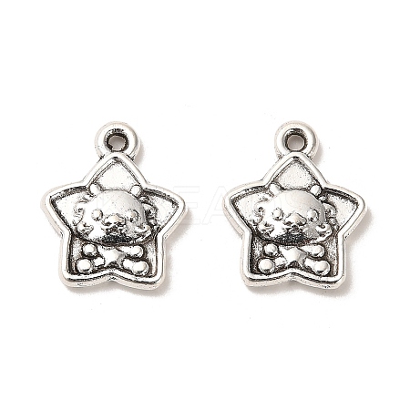Tibetan Style Alloy Pendants FIND-C043-047AS-1