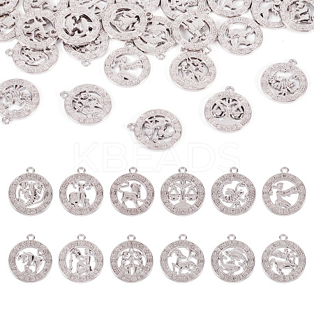 Zinc Alloy Jewelry Pendant Accessories FIND-FW0001-03B-1