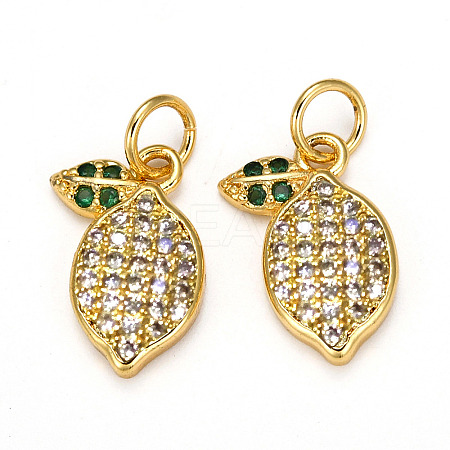 Brass Micro Pave Cubic Zirconia Charms X-ZIRC-L093-18G-1