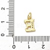 Brass Micro Pave Cubic Zirconia Charms LS-KK-I382-03G-E-3
