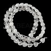 Natural Quartz Crystal Beads Strands G-P544-E14-01-3