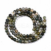 Natural Moss Agate Beads Strands G-S359-232-2