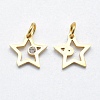 316 Surgical Stainless Steel Pendants STAS-K178-01B-G-2