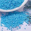 MIYUKI Delica Beads SEED-JP0008-DB0879-1