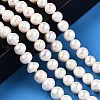Natural Cultured Freshwater Pearl Beads Strands PEAR-S020-F11-01-2