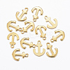 201 Stainless Steel Charms STAS-H557-18G-1