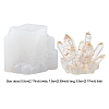DIY Crystal Cluster Display Decoration Silicone Molds DIY-YWC0003-02B-2
