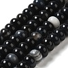 Natural Black Agate Beads Strands G-H295-C03-06-2