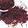 Transparent Colours Glass Seed Beads SEED-H003-01A-1