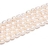 Natural Cultured Freshwater Pearl Beads Strands PEAR-N012-04V-01-5