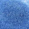 MIYUKI Delica Beads SEED-X0054-DB0113-3
