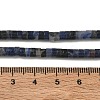 Natural Sodalite Beads Strands G-H230-10-5