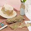 7.5 Yards Polyamide Flower Embroidery Lace Trim for Garment Accessories OCOR-NB0002-02-4