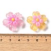 Translucent Resin Decoden Cabochons RESI-M041-09-3