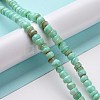 Natural Cultured Freshwater Shell Beads Strands SHEL-F002-01C-2