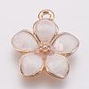 Zinc Alloy Enamel Pendants PALLOY-I124-10G-B-1