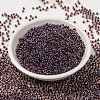 MIYUKI Round Rocailles Beads SEED-X0055-RR3208-2