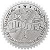 34 Sheets Silver Foil Embossed PET Picture Sticker DIY-WH0528-017-1