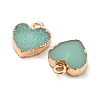 Resin with Golden Zinc Alloy Charms LS-RESI-CJC0009-04D-2