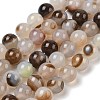 Natural Dendritic Agate Beads Strands G-A248-A07-03-2