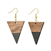 Resin & Walnut Wood Triangle Dangle Earrings EJEW-JE05505-05-1