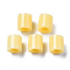 PE Fuse Beads X-DIY-R013-A19-3